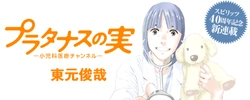 プラタナスの実