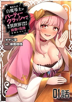 最近入った白魔導士