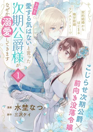 きみを愛する気はない