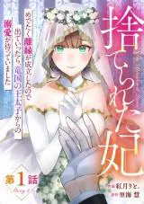 Suterare Kisaki - Medetaku Rien ga Seiritsu Shita no de Dete Ittara, Ryuukoku no Outaishi kara no Dekiai ga Matteimashita