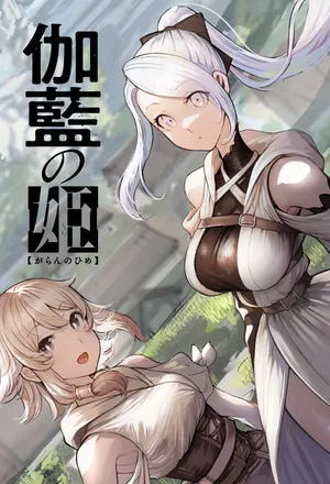 伽藍の姫