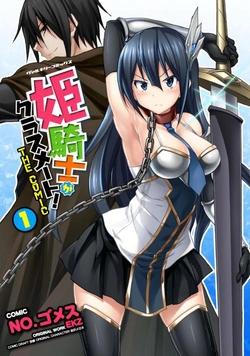 姫騎士がクラスメート!