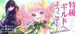 特級ギルドへようこそ！