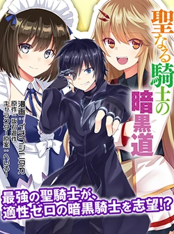 聖なる騎士の暗黒道
