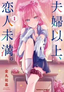 夫婦以上、恋人未満