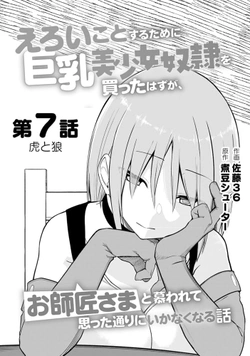 エロいことするために巨乳美少女奴隷を買ったはずが、お師匠さまと慕われて思った通りにいかなくなる話
